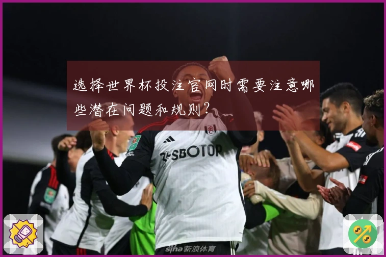 选择世界杯投注官网时需要注意哪些潜在问题和规则？