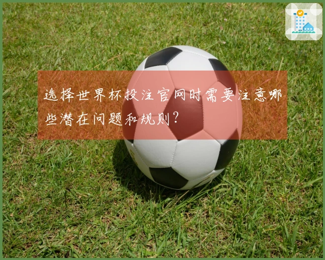 选择世界杯投注官网时需要注意哪些潜在问题和规则？